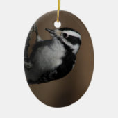 Downy Specht ornament (Voorkant)