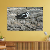Downy Woodpecker 60 x 40 gewikkeld canvas Afdruk (Insitu (Woonkamer))