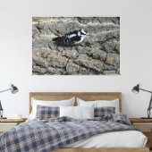 Downy Woodpecker 60 x 40 gewikkeld canvas Afdruk (Insitu (Slaapkamer))