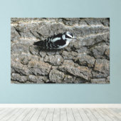 Downy Woodpecker 60 x 40 gewikkeld canvas Afdruk (Insitu (Houten vloer))