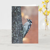Downy Woodpecker Blank Note Card Kaart (Gele Bloem)