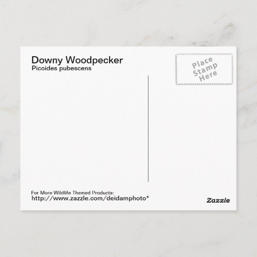 Downy Woodpecker Briefkaart (Achterkant)