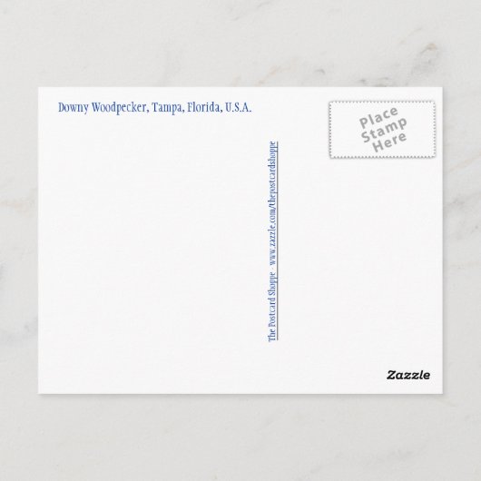 Downy Woodpecker Briefkaart (Achterkant)