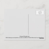 Downy Woodpecker Briefkaart (Achterkant)