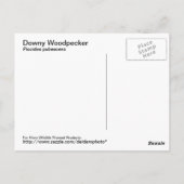 Downy Woodpecker Briefkaart (Achterkant)