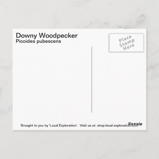 Downy Woodpecker Briefkaart (Achterkant)