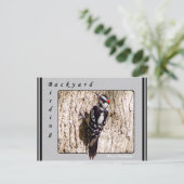 Downy Woodpecker Briefkaart (Staand voorkant)
