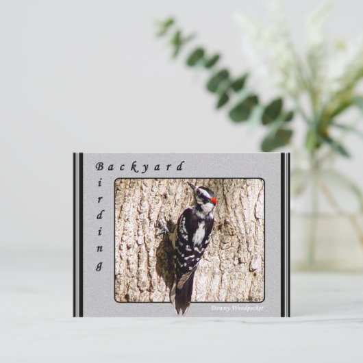 Downy Woodpecker Briefkaart (Staand voorkant)