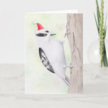 Downy Woodpecker Christmas Kaart