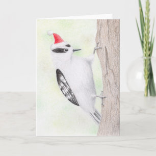 Downy Woodpecker Christmas Kaart