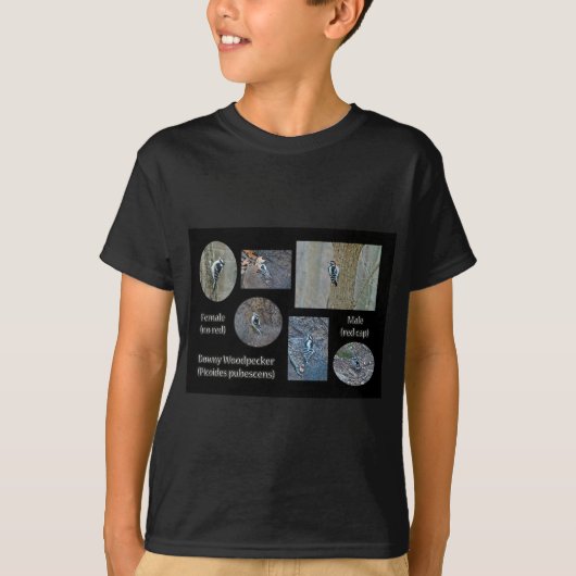 Downy Woodpecker Composite Afbeeldingen Items T-shirt (Voorkant)