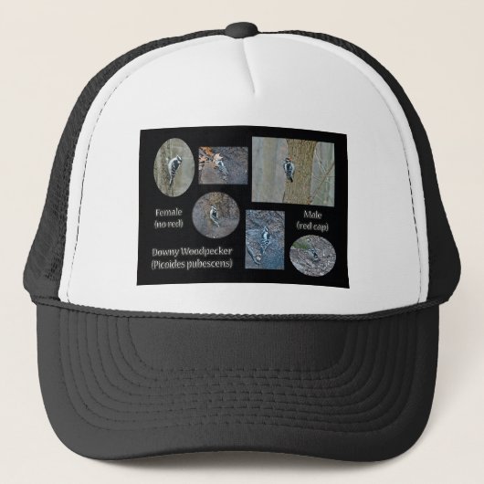Downy Woodpecker Composite Afbeeldingen Items Trucker Pet (Voorkant)