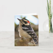 Downy Woodpecker Foto Folded Note Kaart (Voorkant)