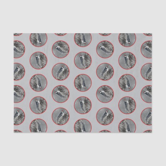 Downy Woodpecker in de winter originele foto Tissuepapier (Voorkant)