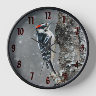 Downy Woodpecker in sneeuw - Originele foto