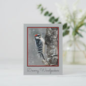 Downy Woodpecker in sneeuw - Originele foto Briefkaart (Staand voorkant)