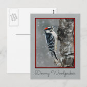 Downy Woodpecker in sneeuw - Originele foto Briefkaart (Voorkant / Achterkant)