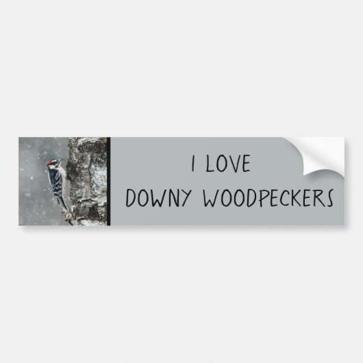 Downy Woodpecker in sneeuw - Originele foto Bumpersticker (Voorkant)