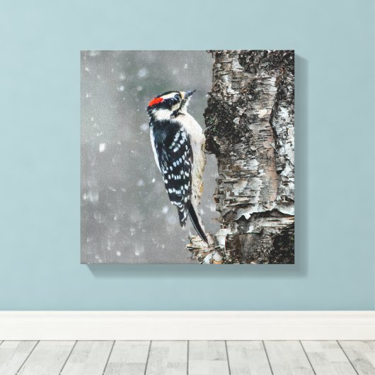 Downy Woodpecker in sneeuw - Originele foto Canvas Afdruk (Insitu (Houten vloer))