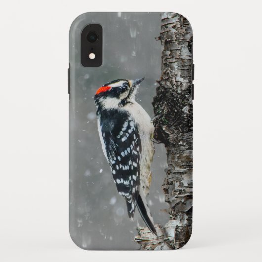 Downy Woodpecker in sneeuw - Originele foto Case-Mate iPhone Case (Achterkant)