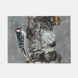 Downy Woodpecker in sneeuw - Originele foto Deurmat