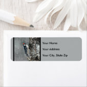 Downy Woodpecker in sneeuw - Originele foto Etiket (Insitu)