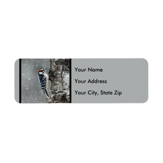 Downy Woodpecker in sneeuw - Originele foto Etiket (Voorkant)