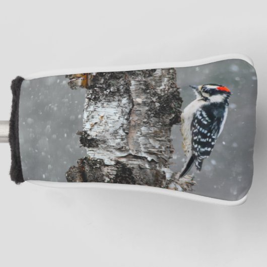 Downy Woodpecker in sneeuw - Originele foto Golfheadcover (Voorkant)