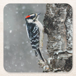 Downy Woodpecker in sneeuw - Originele foto Kartonnen Onderzetters