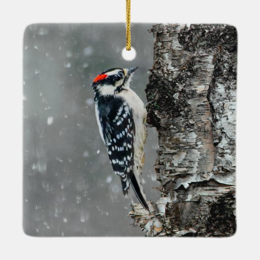 Downy Woodpecker in sneeuw - Originele foto Keramisch Ornament (Achterkant)