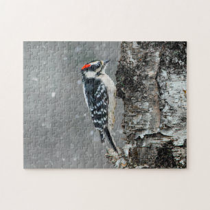 Downy Woodpecker in sneeuw - Originele foto Legpuzzel