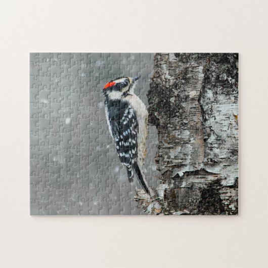 Downy Woodpecker in sneeuw - Originele foto Legpuzzel (Horizontaal)