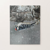 Downy Woodpecker in sneeuw - Originele foto Legpuzzel (Verticaal)