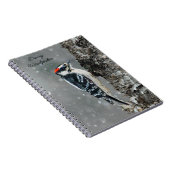 Downy Woodpecker in sneeuw - Originele foto Notitieboek (Rechterzijde)