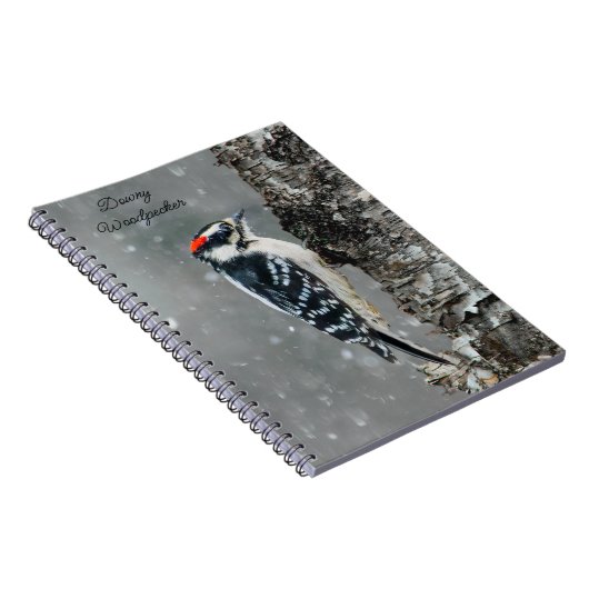 Downy Woodpecker in sneeuw - Originele foto Notitieboek (Rechterzijde)
