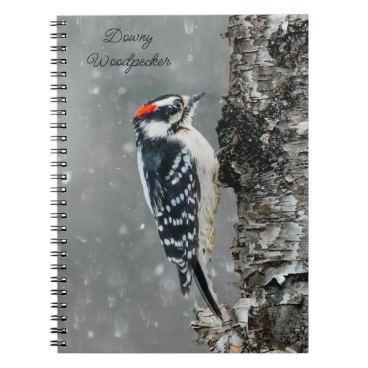 Downy Woodpecker in sneeuw - Originele foto Notitieboek (Voorkant)