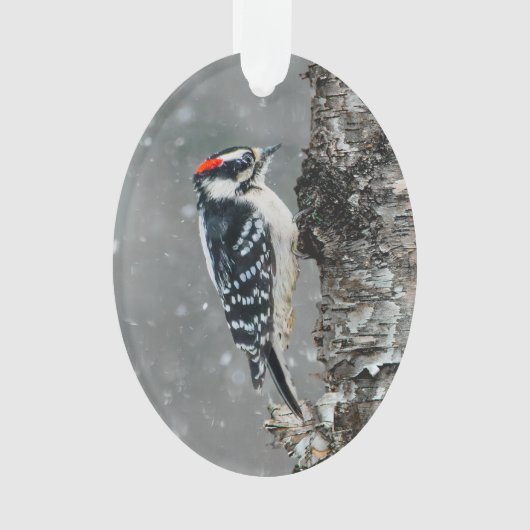 Downy Woodpecker in sneeuw - Originele foto Ornament (voorkant)