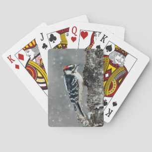 Downy Woodpecker in sneeuw - Originele foto Pokerkaarten