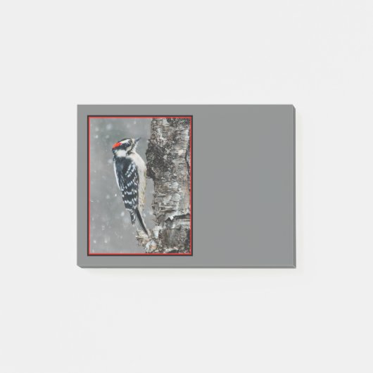 Downy Woodpecker in sneeuw - Originele foto Post-it® Notes (Voorkant)