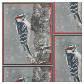 Downy Woodpecker in sneeuw - Originele foto Stof (Close Up)