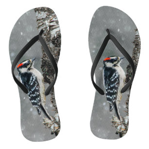 Downy Woodpecker in sneeuw - Originele foto Teenslippers