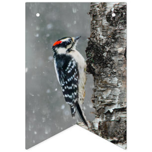 Downy Woodpecker in sneeuw - Originele foto Vlaggetjes