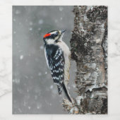 Downy Woodpecker in sneeuw - Originele foto Wijn Etiket (Enkel label)