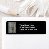 Downy Woodpecker Items Etiket (Insitu)