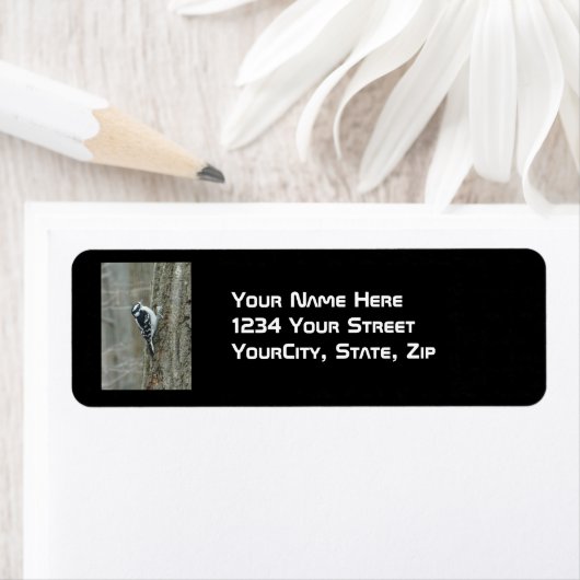 Downy Woodpecker Items Etiket (Insitu)