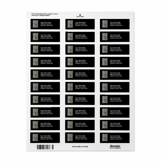 Downy Woodpecker Items Etiket (Full Sheet)