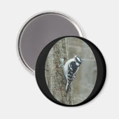 Downy Woodpecker Items Magneet (Voorkant / Achterkant)