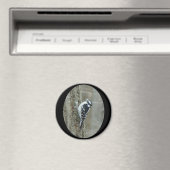 Downy Woodpecker Items Magneet (Insitu (Vaatwasser))