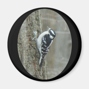 Downy Woodpecker Items Magneet