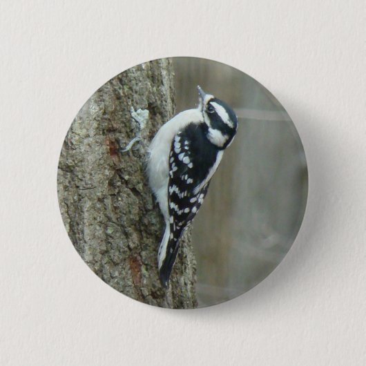 Downy Woodpecker Items Ronde Button 5,7 Cm (Voorkant)